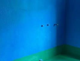 汤原卫生间测漏水多少钱